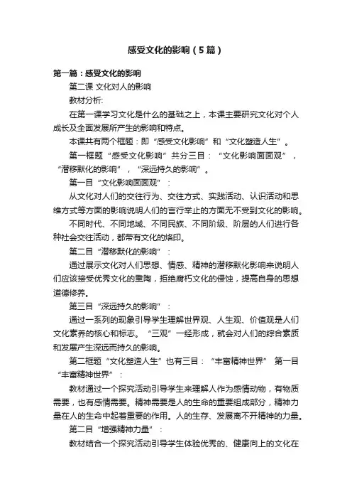 感受文化的影响（5篇）