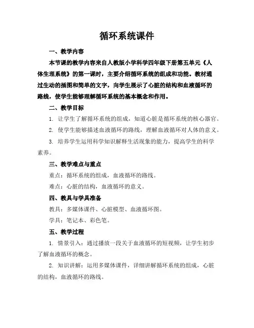 循环系统课件