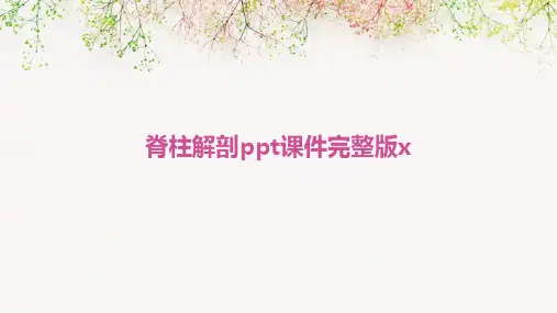 脊柱解剖ppt课件完整版x