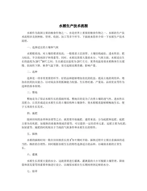 水稻生产技术流程