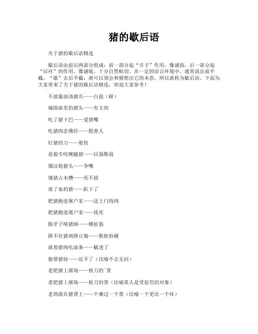 猪的歇后语