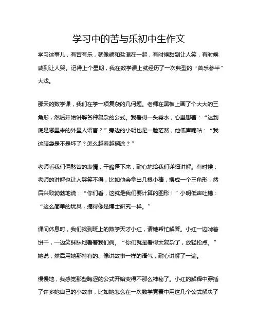 学习中的苦与乐初中生作文