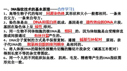 科学技术社会DNA指纹技术.pptx