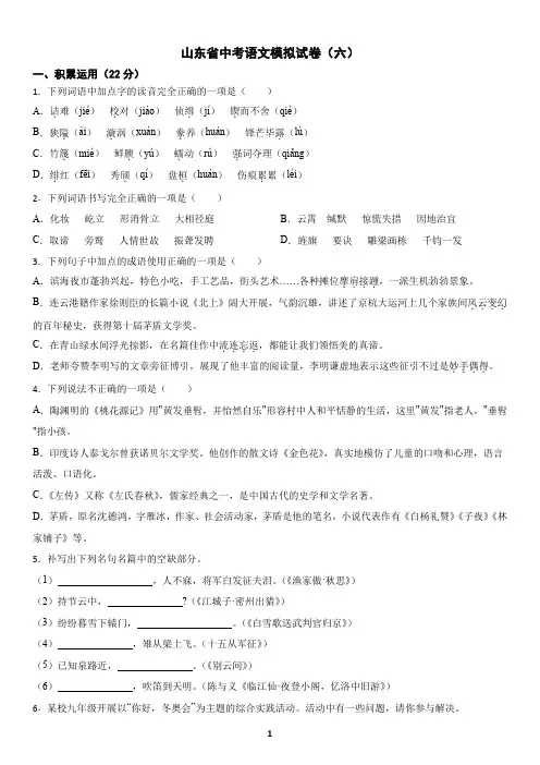 山东省中考语文模拟试卷(六)及答案