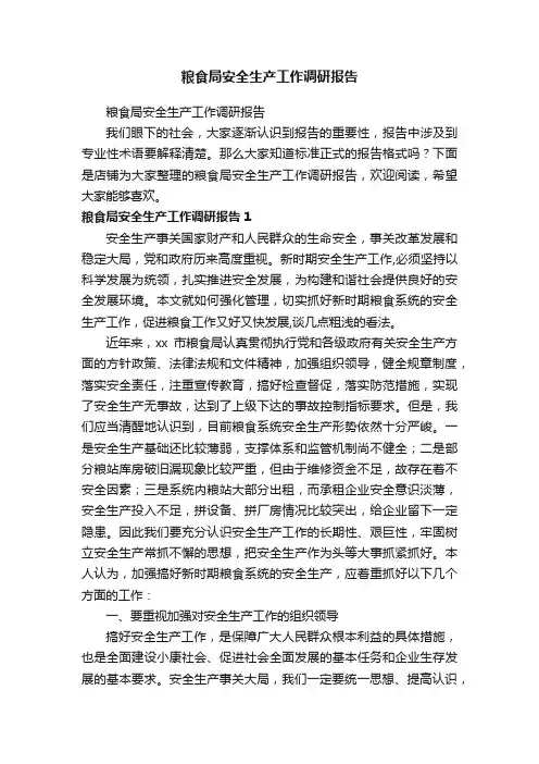 粮食局安全生产工作调研报告