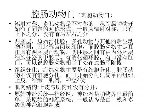 腔肠动物