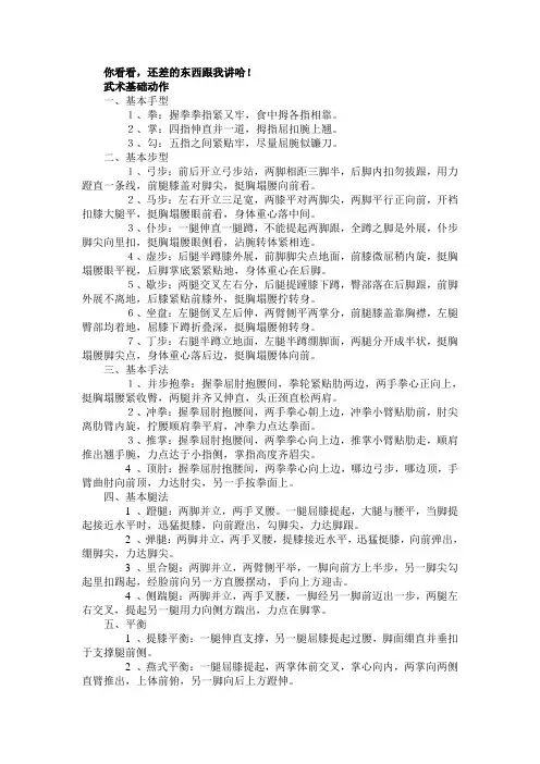 武术基本动作讲解