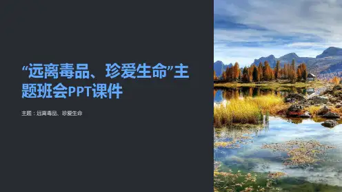 “远离毒品、珍爱生命”主题班会PPT课件