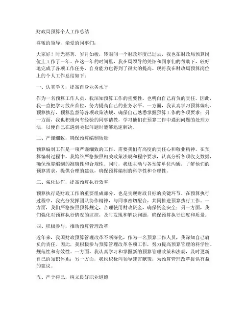 财政局预算个人工作总结