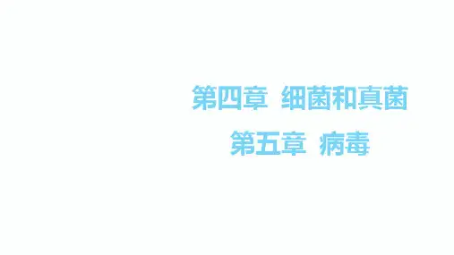 2020届中考生物总复习课件3.第四章 细菌和真菌   第五章 病毒