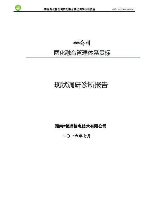 某检测仪器公司“两化融合”全过程诊断报告