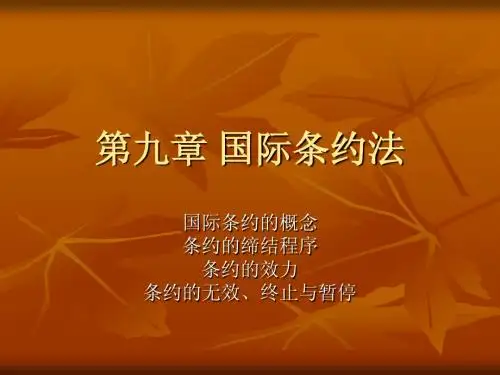 009第九章 国际条约法