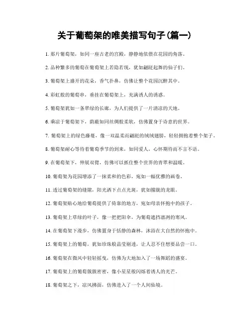 关于葡萄架的唯美描写句子(精选两篇)