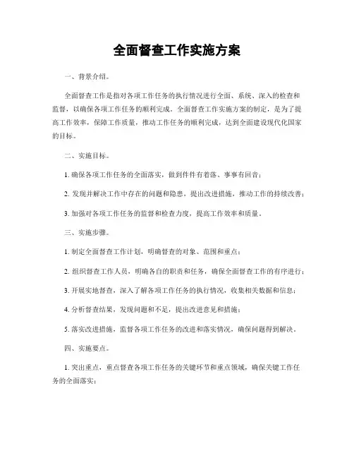 全面督查工作实施方案