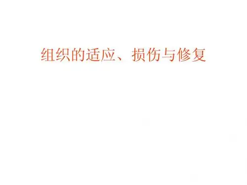 第一章 组织的适应、损伤和修复