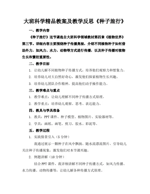 大班科学精品教案及教学反思《种子的旅行》