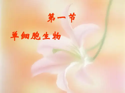 苏教版初中生物七年级上册 2.4.1 单细胞生物 课件 (共17张PPT)
