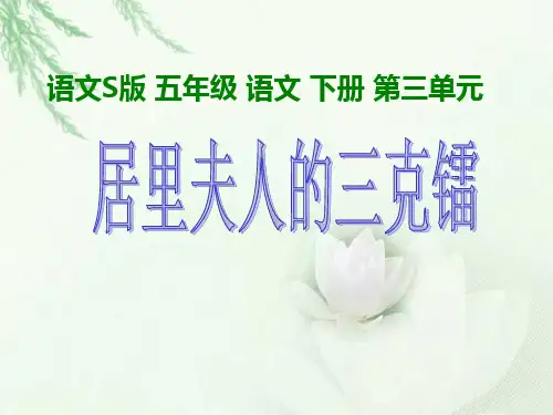 《居里夫人的三克镭》课件 新