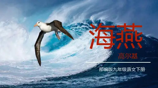 部编版九年级下册语文《海燕》说课教学教学电子课件