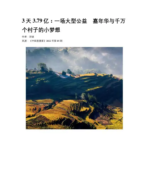3天3.79亿：一场大型公益　嘉年华与千万个村子的小梦想