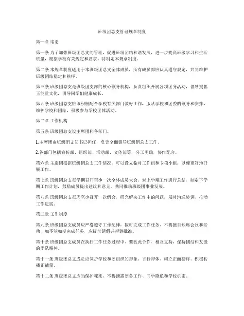 班级团总支管理规章制度