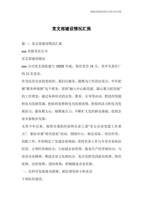 党支部建设情况汇报