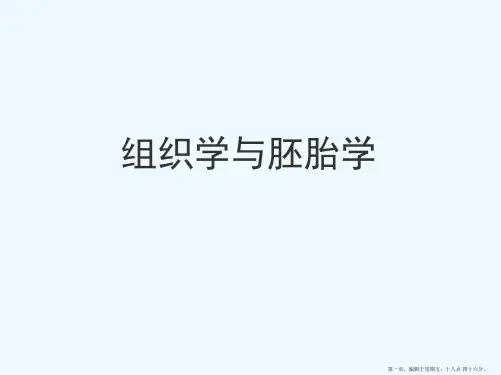 组织胚胎学课件-组织学及胚胎学绪论