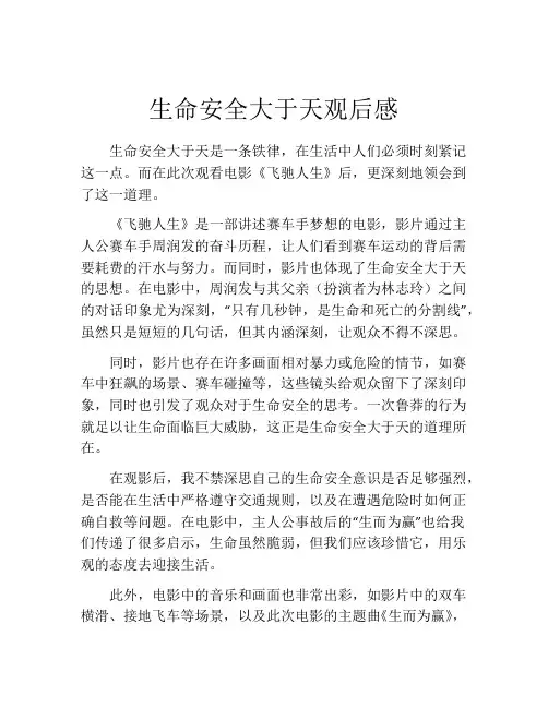 生命安全大于天观后感