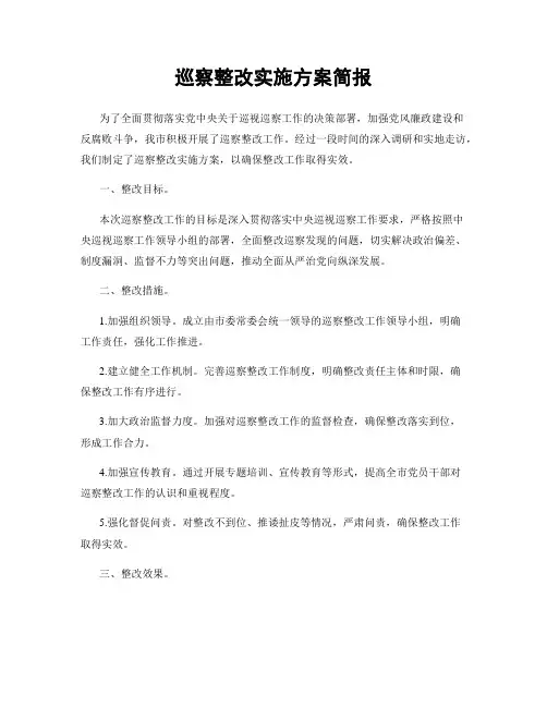巡察整改实施方案简报