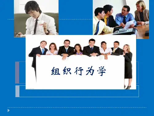 组织行为学课件(PPT47页).pptx