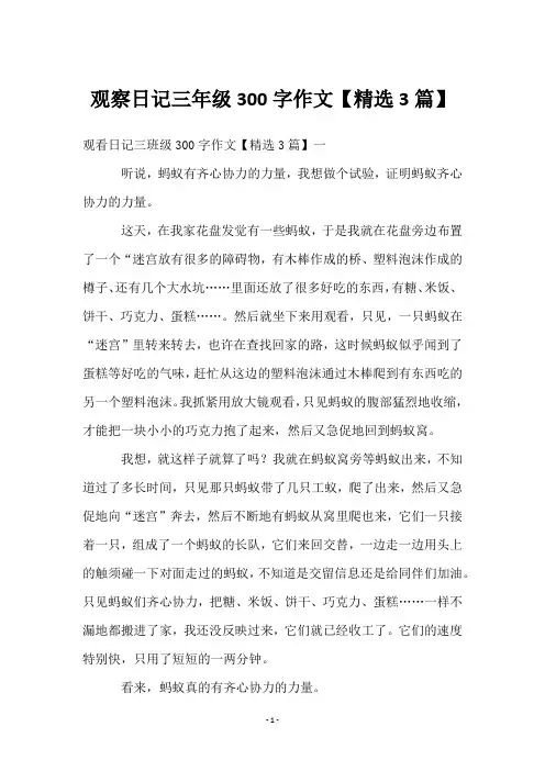 观察日记三年级300字作文【3篇】