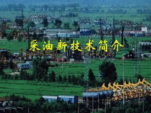 采油新技术简介PPT课件