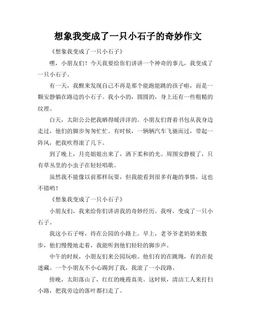 想象我变成了一只小石子的奇妙作文