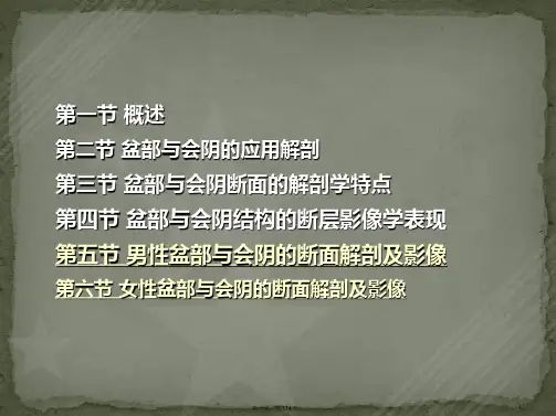 盆部与会阴断层影像解剖学
