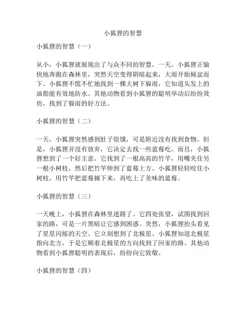 小狐狸的智慧