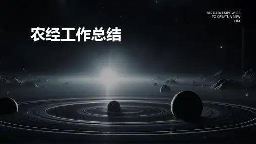 农经工作总结PPT