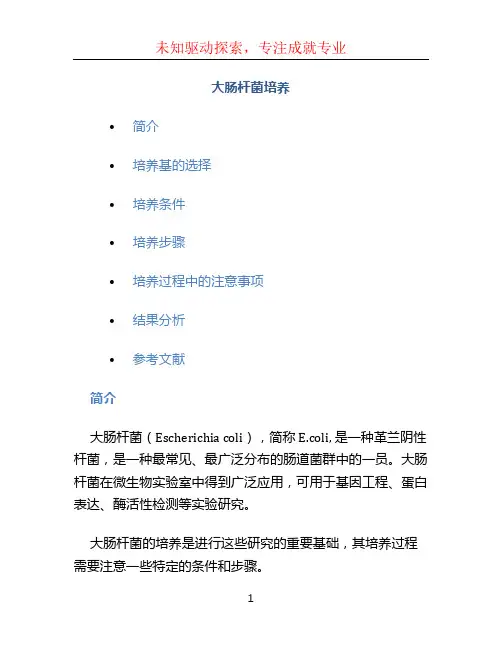 大肠杆菌培养