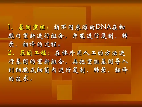 大学生物化学课件基因工程ppt