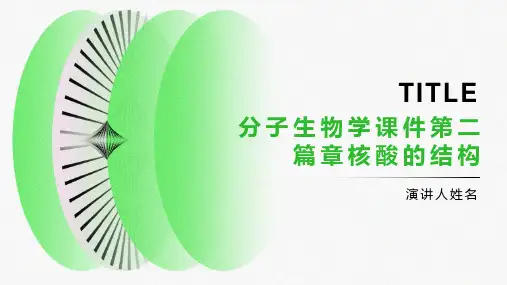 分子生物学课件第二篇章核酸的结构