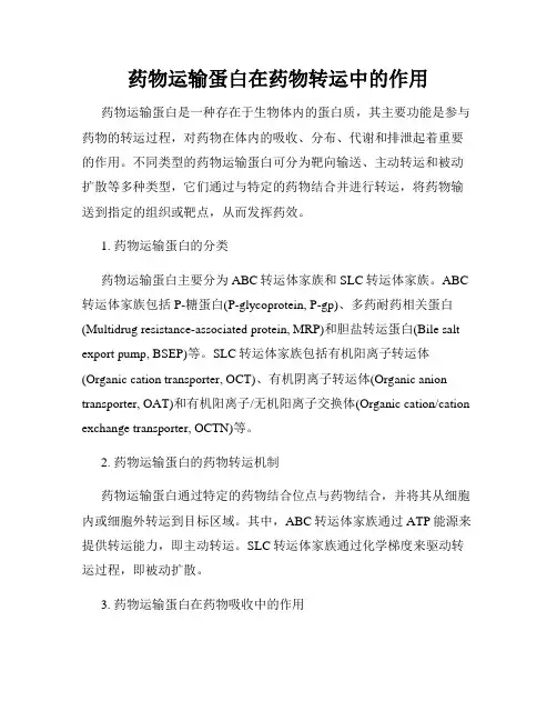 药物运输蛋白在药物转运中的作用