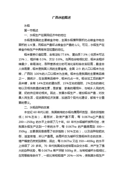 广西水稻概述