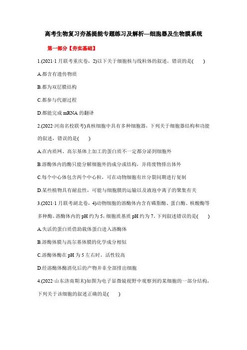高考生物复习夯基提能专题练习及解析—细胞器及生物膜系统