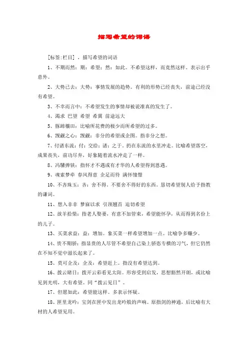 描写希望的词语