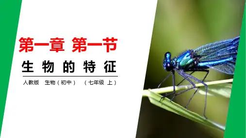 人教版生物七年上册第一章第一节生物的特征