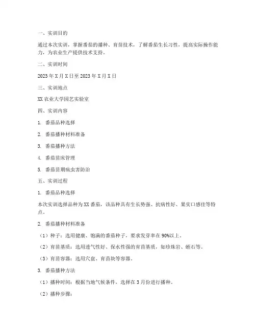 番茄播种育苗实训报告单