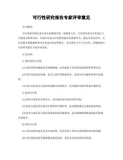 可行性研究报告专家评审意见