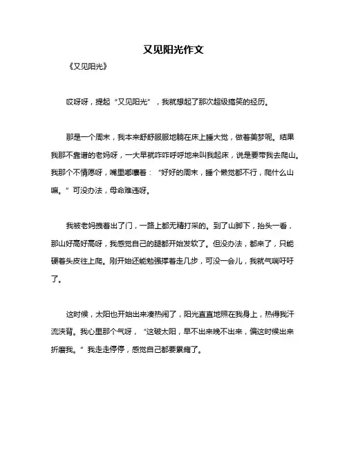 又见阳光作文