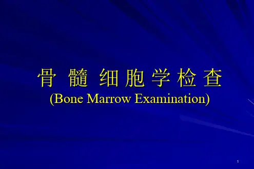 02骨髓细胞学检查PPT课件