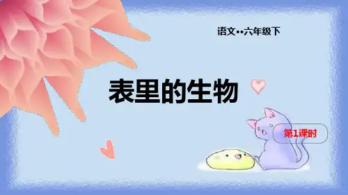 表里的生物PPT课件1