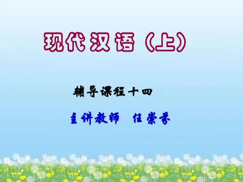 现代汉语(上)14课(精)